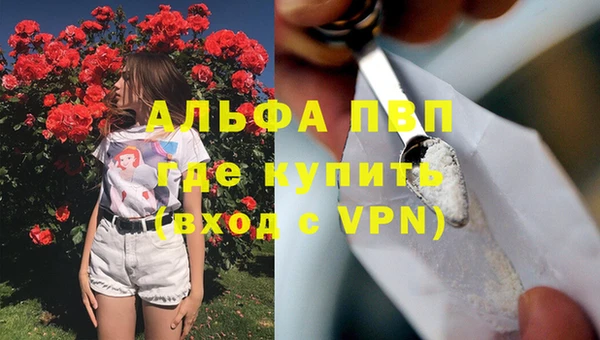 молекула духа Алексеевка